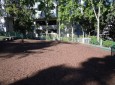 William S. Hart Park Off Leash Dog Park