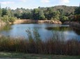 Franklin Canyon