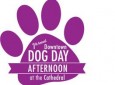Downtown Dog Day Afternoon at the Cathedral
