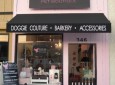 DOG Pet Boutique