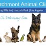 Larchmont Animal Clinic