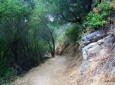 Newton Canyon Backbone Trail