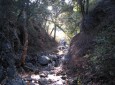 Placerita Canyon