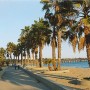 Promenade Park & Ventura Pier