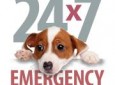 Animal Emergency Care Center