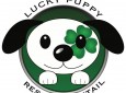 Lucky Puppy Rescue & Retail