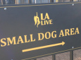 L.A. Live Dog Park