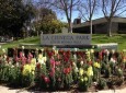 La Cienega Park
