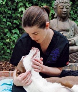 BUDDHA DOG Animal Massage