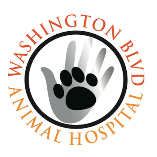 Washington Boulevard Animal Hospital