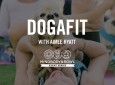 DOGAFIT