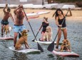 SUP with PUP in Marina del Rey!!! 🏄🏻♀️🐩 (No Experience Needed. 20%Off, FREE Photos, After-Party!)