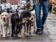 Outdoor Voices Pack Walk