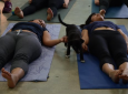 Doga @ The Dog Cafe in Los Angeles