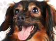 Yappy Hour at Ashland Hill