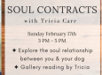 Soul Contracts with Tricia Carr
