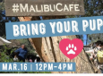 Bring your pup day