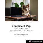 Competent Pup