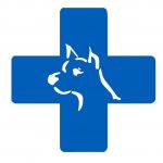 Affordable Animal Hospital Silver Lake
