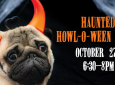 Haunted Howl-o-ween Party for Dogs at Wag Hotels West Los Angeles