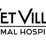 Vet Villa Animal Hospital