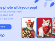 Professional Holiday Photos with Your Pup!