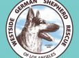WGSR German Shepherd Adoptions – Saturdays