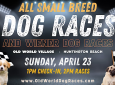 4/23 All Small-Breed Dog Races @ Old World Village