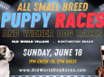 6/18 Puppy Dog Races @ Old World Village