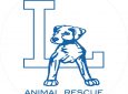 ADOPTION EVENT – LA Animal Rescue
