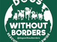 ADOPTION FAIR – Dogs Without Borders