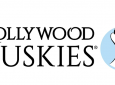 ADOPTION EVENT – Hollywood Huskies