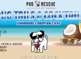 Pug Tails & Cocktails Fundraising & Adoption Event