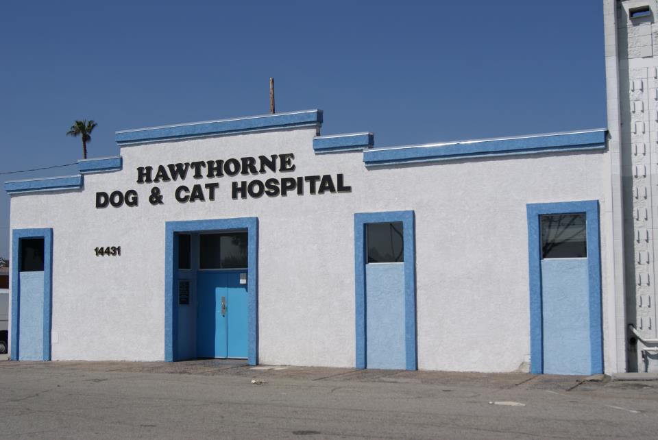 Hawthorne Dog & Cat Hospital Lawndale Los Angeles