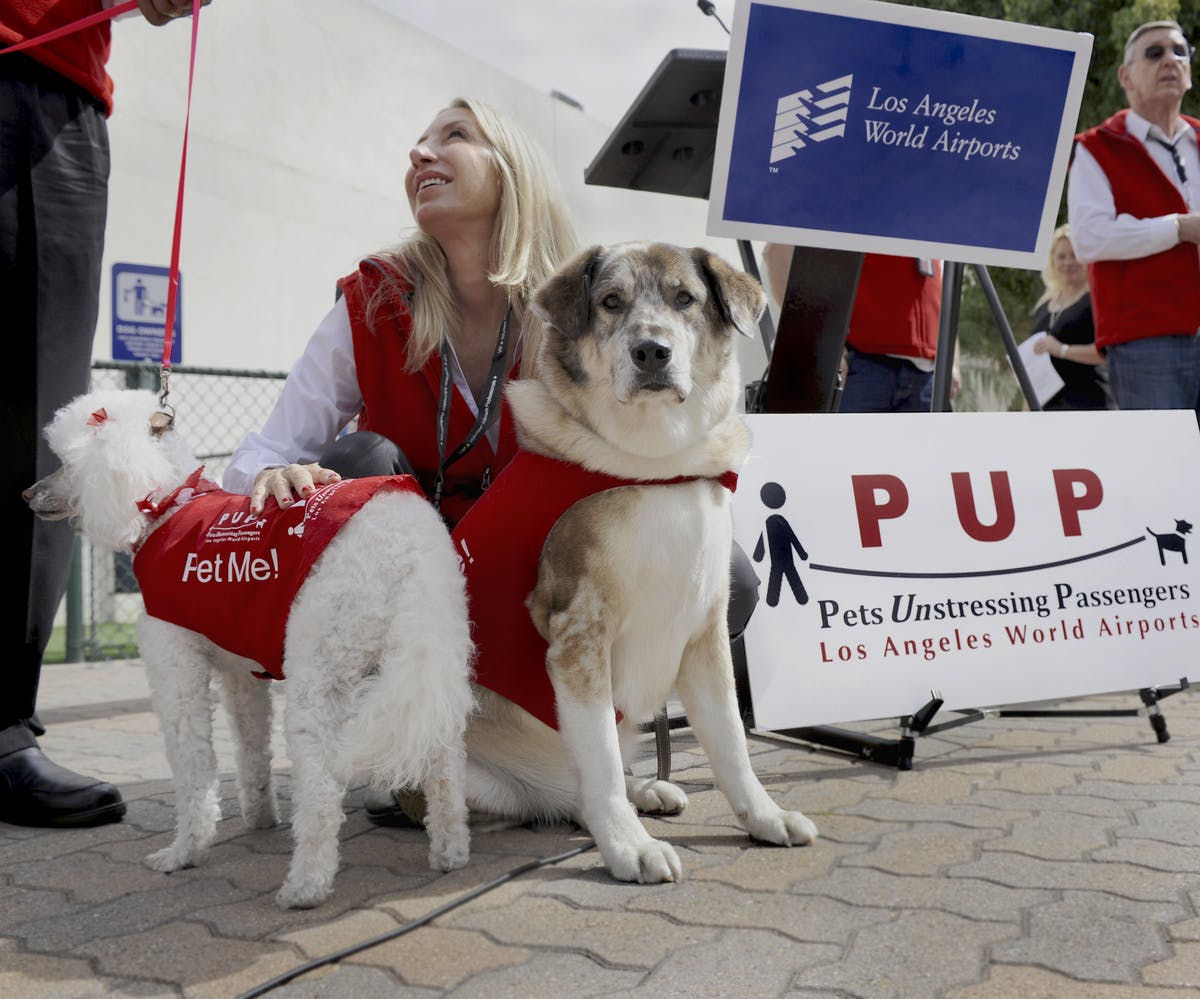 LAX PUP Program