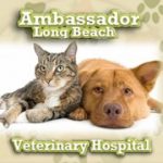 Ambassador Long Beach Veterinary Hospital