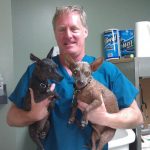 East Valley Veterinary Clinic