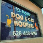 El Monte Dog & Cat Hospital