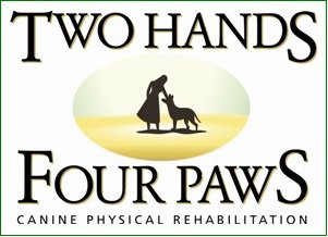 Two Hands Four Paws