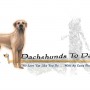 Dachshunds to Danes