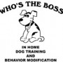 Who’s the Boss Dog Training