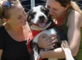 Fur Baby Rescue