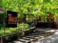 The Trails