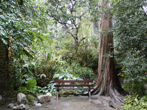 Mildred E. Mathias Botanical Garden