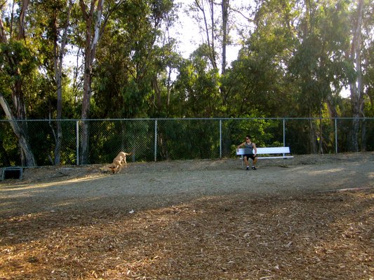 Barrington Dog Park
