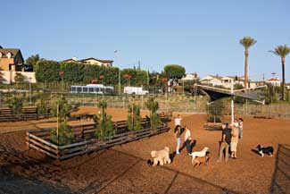 Santa Monica Airport Dog Park