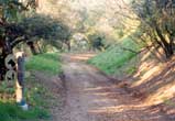 Coldwater Canyon Park