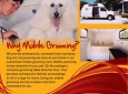 Easy to Spot Mobile Grooming