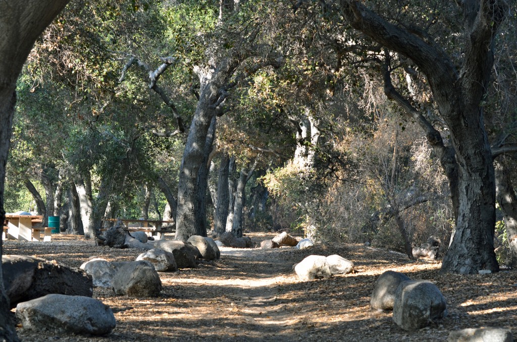 Hahamonghna Watershed Park