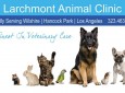 Larchmont Animal Clinic